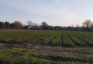 Neues Gewerbegebiet B-70 an Tangstedter Chausssee keineswegs grün!